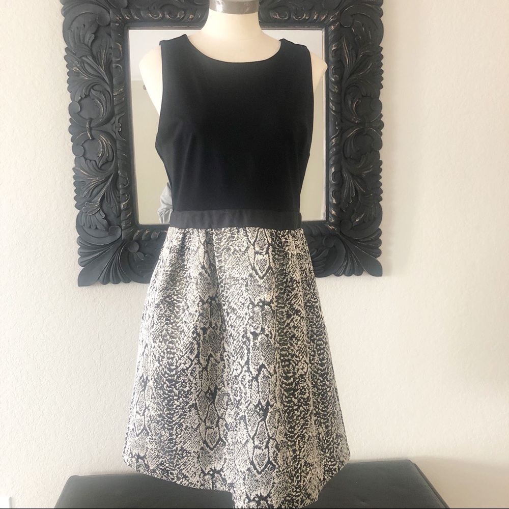 Donna Rico: snake skin fit and flare dress